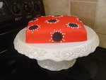 Erin's Birthday Cake!